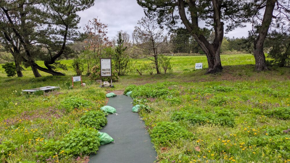 田小屋野貝塚の通路