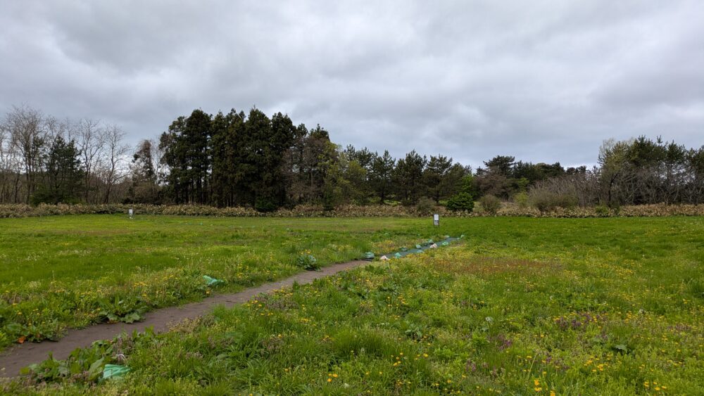 田小屋野貝塚の全景