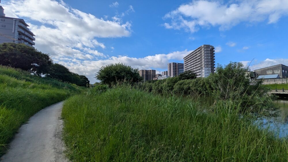 福岡の那珂川ジョギングは快適