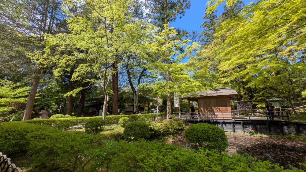 中尊寺の庭園