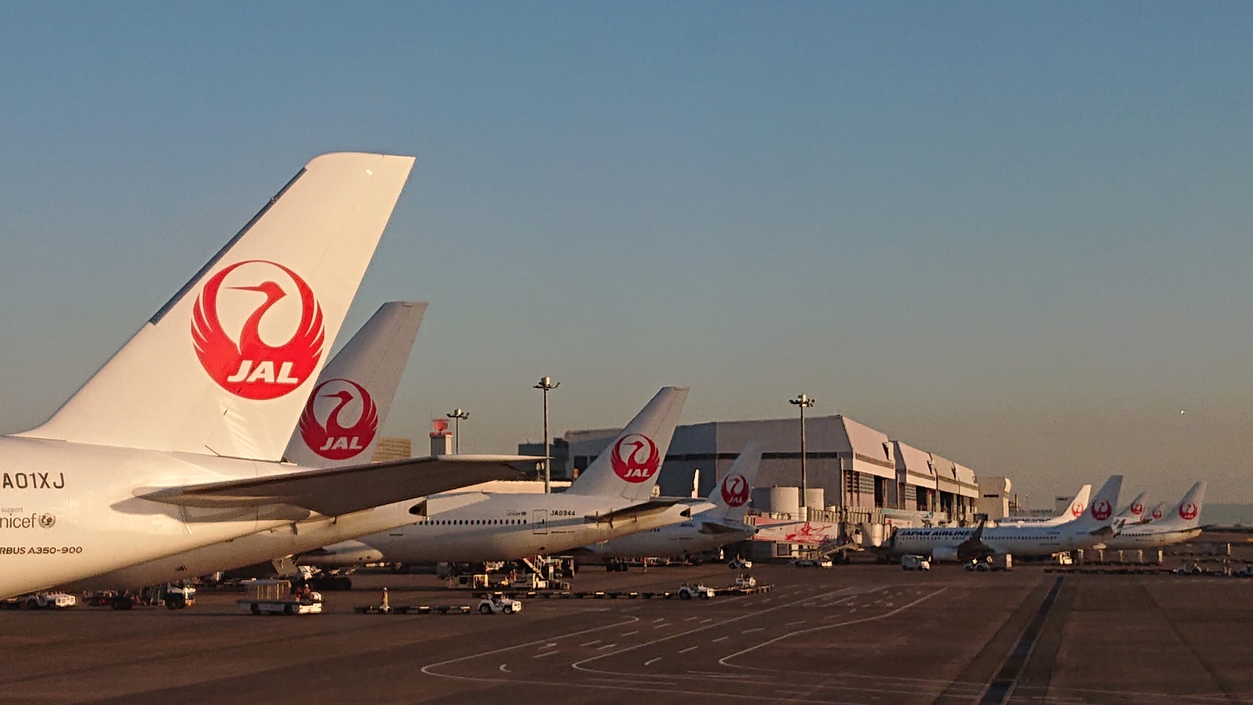 JALの駐機場の風景