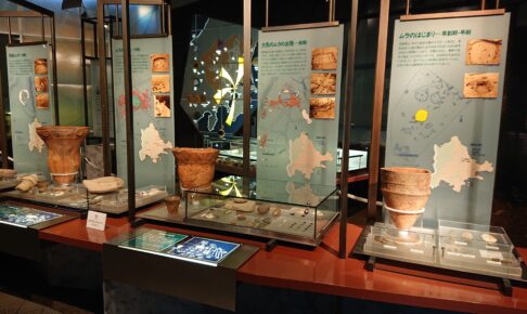 松戸市立博物館の土器の展示