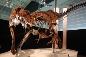 恐竜科学博のティラノサウルススタン