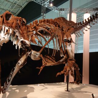 恐竜科学博のティラノサウルススタン