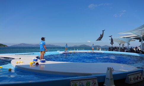 四国水族館のイルカのジャンプ