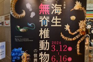 「知られざる海生無脊椎動物の世界」の開催期間