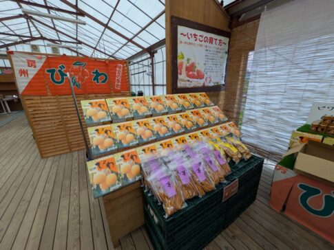 房総の駅とみうらにあるびわ販売コーナーは地方発送も承り中