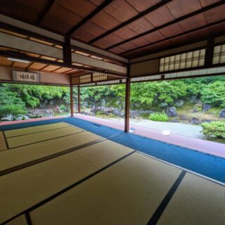 圓徳院の雨交じりの京都観光が素敵