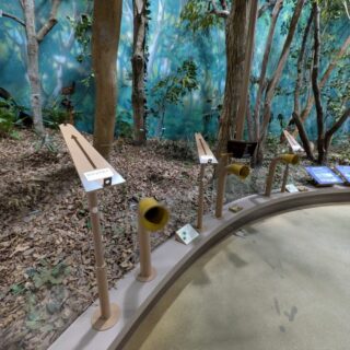 ふれあい野鳥館の森の展示