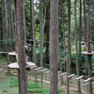 リソルの森のターザニアのキャノピーコースは本格的