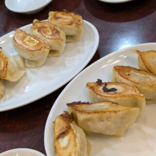 独一処餃子行徳店の焼き餃子とホルモン餃子