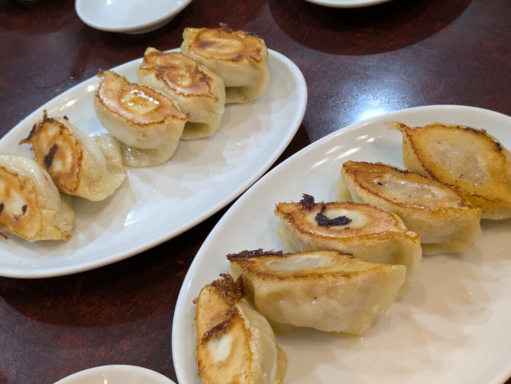 独一処餃子行徳店の焼き餃子とホルモン餃子