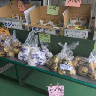 大新園の王秋