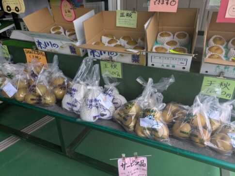大新園の王秋