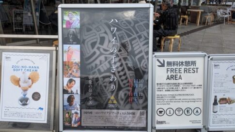 象の鼻テラスのハワイの手ざわり