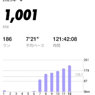 2025年のジョギング結果