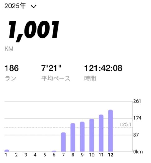 2025年のジョギング結果