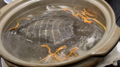 大吉縁のスッポン鍋