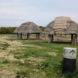 大湯環状列石の復元遺跡