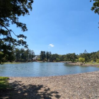 毛越寺の浄土庭園