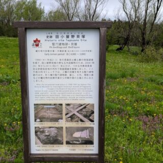 田小屋野貝塚のパネル