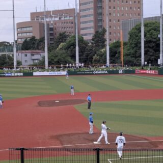 国府台スタジアムでの2軍戦