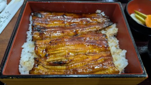 うなぎ前むらの特うな重はふわふわ