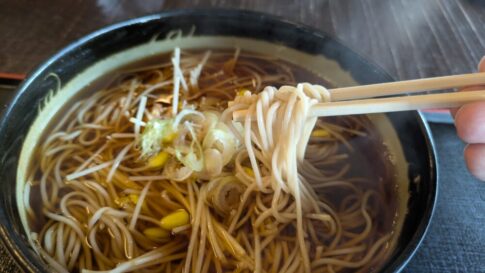 お食事処花りんごのもやしそばが美味しかった