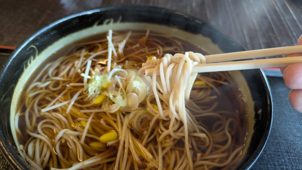 お食事処花りんごのもやしそばが美味しかった