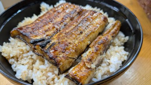 うな正のうな丼